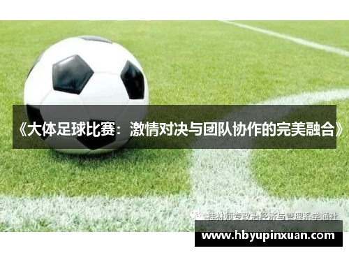 《大体足球比赛：激情对决与团队协作的完美融合》