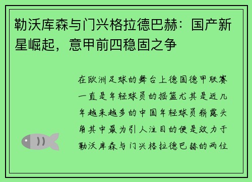 勒沃库森与门兴格拉德巴赫：国产新星崛起，意甲前四稳固之争